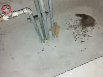 察雅卫生间测漏水价格明细